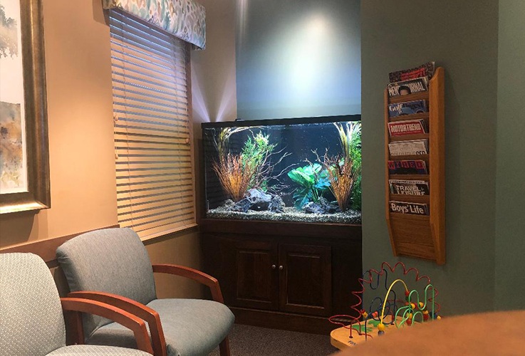 Fish tank in waiting area