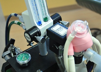 An up-close image of a nitrous oxide machine used to sedate patients before a treatment